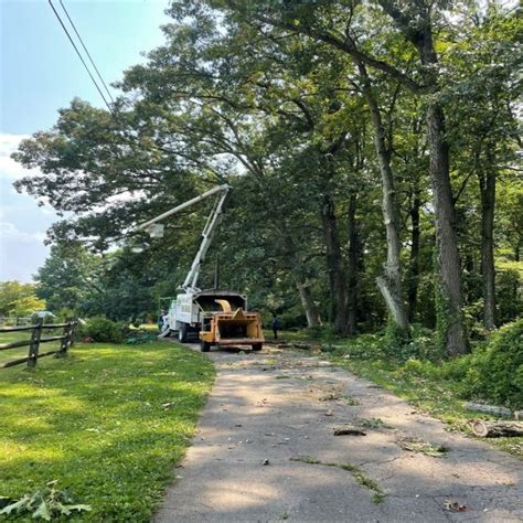 discount tree services in the gaithersburg area